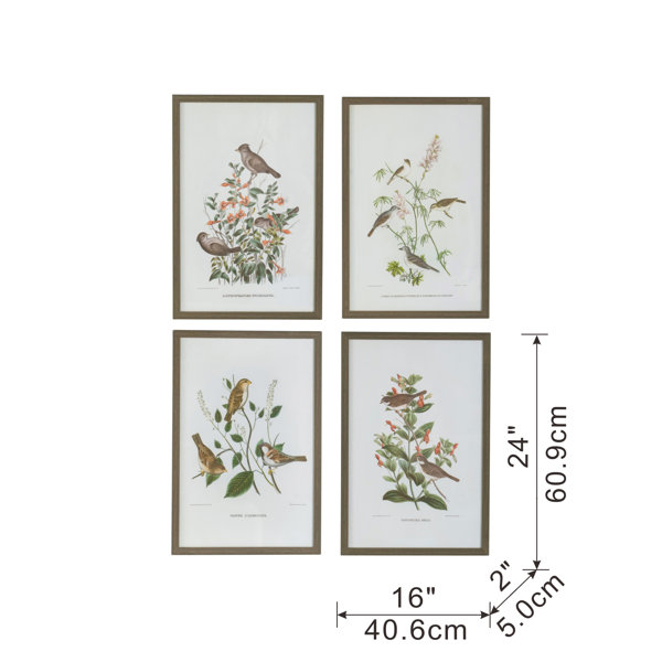 Red Barrel Studio® Botanical And Bird Framed 4 Pieces Print | Wayfair